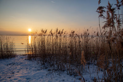 Scenic view of frozen lake against sky during sunset