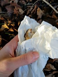 Close-up of hand holding ice