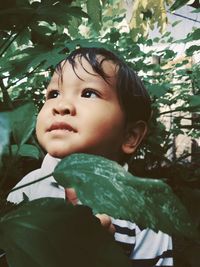 Portrait of cute boy looking away