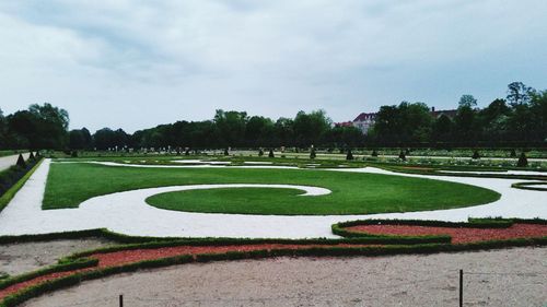 Trees in park