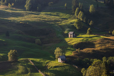 Scenic view of landscape