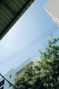 Low angle view of trees and buildings against sky