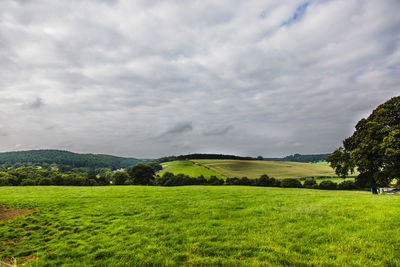 Scenic view of field against sky