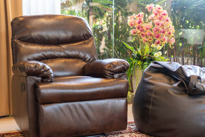 Close-up of potted plants at home