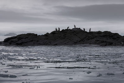 Scenic view of sea against sky during winter