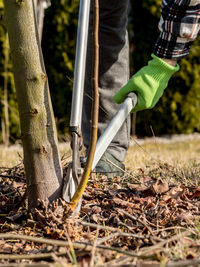 Low section of man working on tree trunk