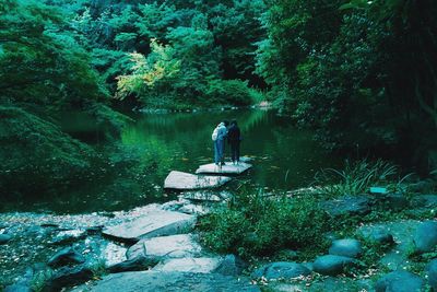 View of waterfall in forest