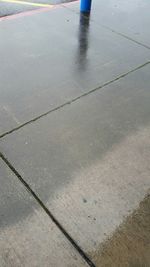 Reflection of trees in puddle