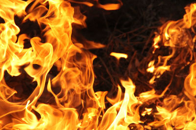 Close-up of bonfire