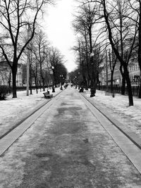 Road passing through trees