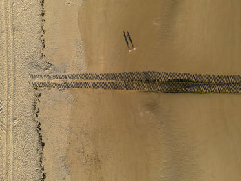 Bird's eye view of the sandy shore, long shadows on the sand from the wooden breakwater posts