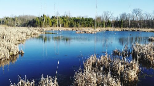 Scenic view of lake against blue sky