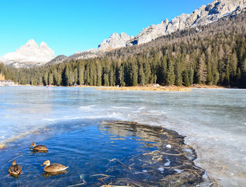 Scenic view of lake against sky during winter