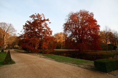 Trees in park against sky during autumn