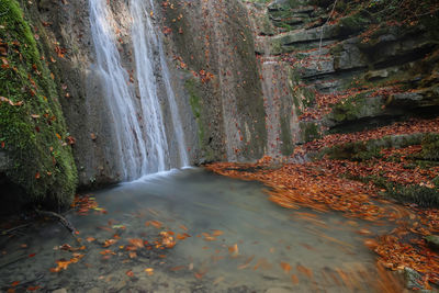 Scenic view of waterfall in forest