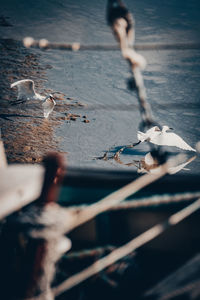 High angle view of wet shore during winter