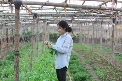 Young vietnamese girl picking leaf mustard in the garden