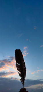 Low angle view of bird flying against sky