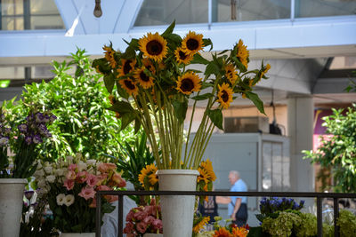 Flowers in pot against plants