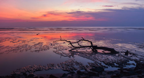 Scenic view of sea against orange sky