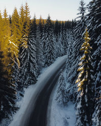 Winter wonderland in the bucegi mountains, southern carpathians, romania