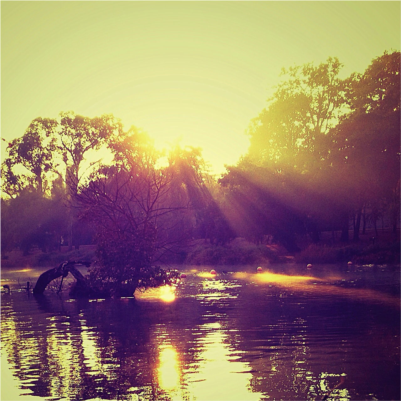 water, reflection, tree, sunset, lake, waterfront, sun, silhouette, tranquility, tranquil scene, mode of transport, scenics, transportation, nature, river, beauty in nature, clear sky, sunlight, nautical vessel, boat