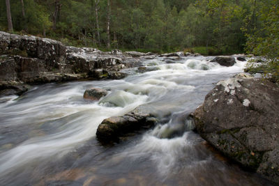 Stream flowing through rocks in forest