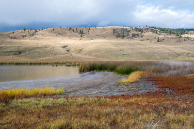 Scenic view of landscape against sky