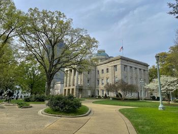 Trees and plants in city against sky