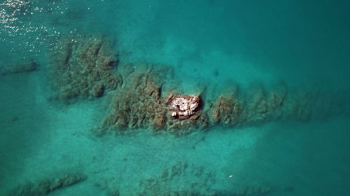 High angle view of swimming in sea