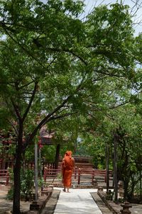 Rear view of man walking on footpath amidst trees