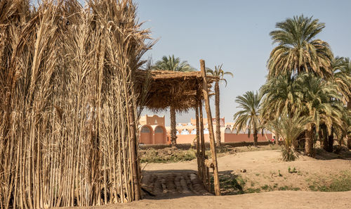 Bridge of trunks of palm trees across an irrigation ditch next to the nile in sudan