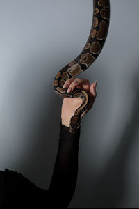 arm