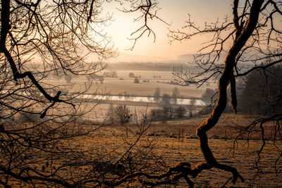 Bare tree against sky during sunset