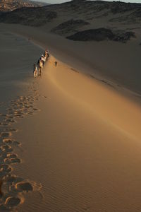 Sand dune in egypth