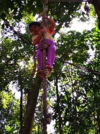 Low angle view of smiling young woman hanging on tree