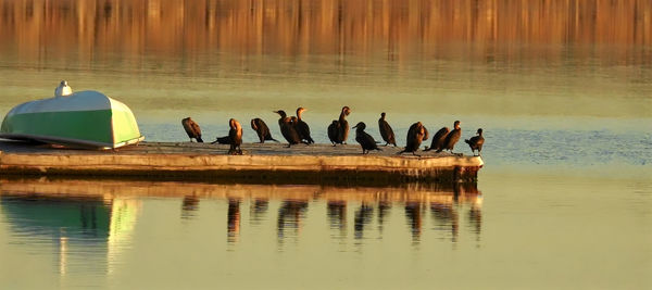 People in lake against sky during sunset