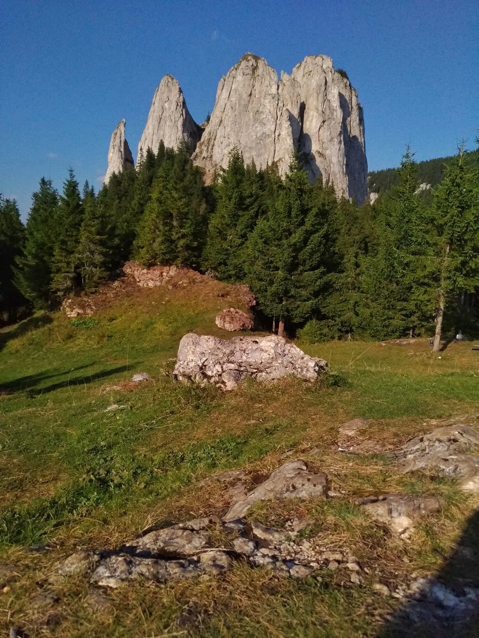 SCENIC VIEW OF LANDSCAPE AGAINST CLEAR SKY