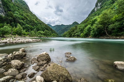 Scenic view of landscape