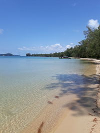 Scenic view of beach against blue sky