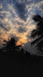 Silhouette palm trees against sky during sunset