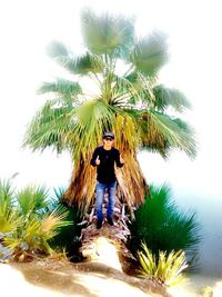 Full length of woman standing on tree trunk
