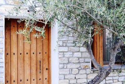 Close-up of closed wooden door