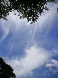 Low angle view of trees against sky