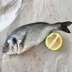 High angle view of fish on table