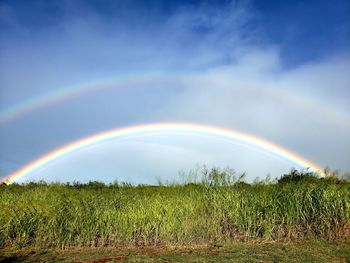 Scenic view of field against rainbow in sky