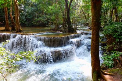 Scenic view of waterfall in forest