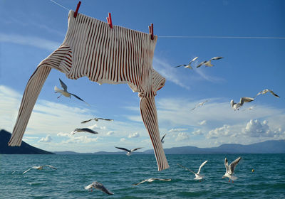 Seagulls flying over sea against sky