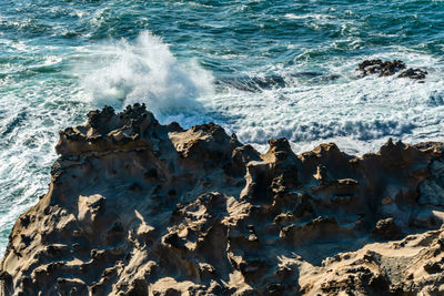 A view of pounding surf at shore acres state park in oregon state.