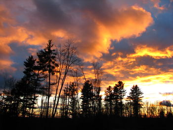 Silhouette trees against sky during sunset